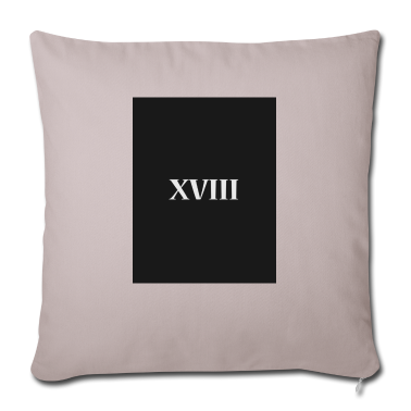 Geschenk zum 18 Kissenbezug - 18 / XVIII