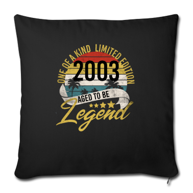 Geschenk zum 18 Kissenbezug - 18. Geburtstag Geschenk 2003 18 Jahre