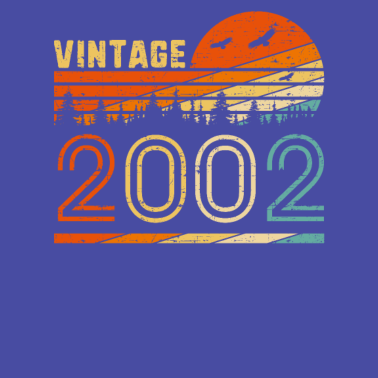 Motiv Vintage 2002 Retro 18. Geburtstagsgeschenk Spaß B-Tag 18