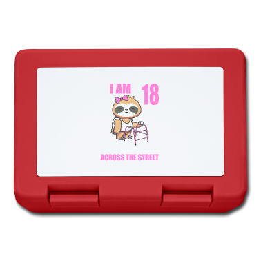 Geschenk zum 18 Brotdose - 18 bitte helfen Sie mir über Straße 18. Geburtstag