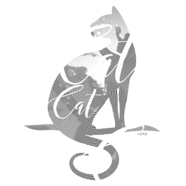 Motiv CAT CAT Katze Silhouette mit Foto PREMIUM DESIGN