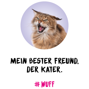 Motiv WUFF Mein bester Freund, der Kater Spruch