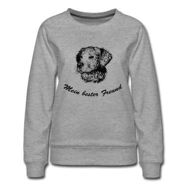 Beste Freunde Geschenke Pullover - Bester Freund