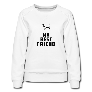Beste Freunde Geschenke Pullover - mein bester Freund