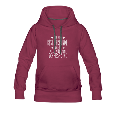 Beste Freunde Geschenke Hoodie - Beste Freunde - alle anderen sind scheiße
