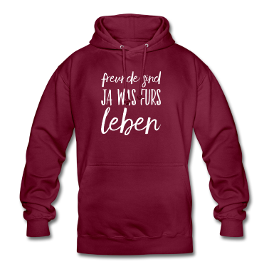 Beste Freunde Geschenke Hoodie - Freunde sind super