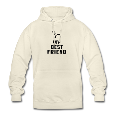 Beste Freunde Geschenke Hoodie - mein bester Freund