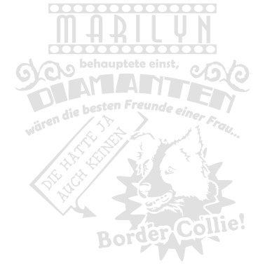 Motiv Bester Freund Collie