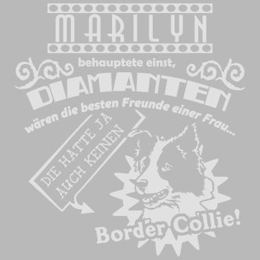 Motiv Bester Freund Collie