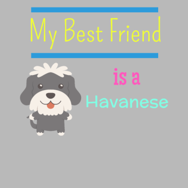 Motiv Mein bester Freund ist ein Havaneser