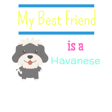 Motiv Mein bester Freund ist ein Havaneser