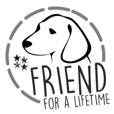 Motiv Der beste Freund des Menschen