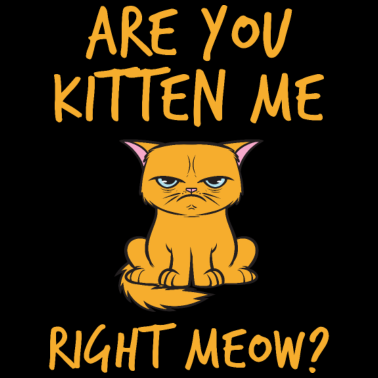 Motiv Are You Kitten Me Right Meow Wortwitz Katze