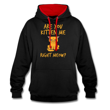 Geburtstag Geschenk Mann Hoodie - Are You Kitten Me Right Meow Wortwitz Katze