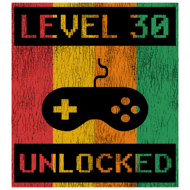 Motiv 30. Geburtstag Mann Level 30 Jahre Männer 1991