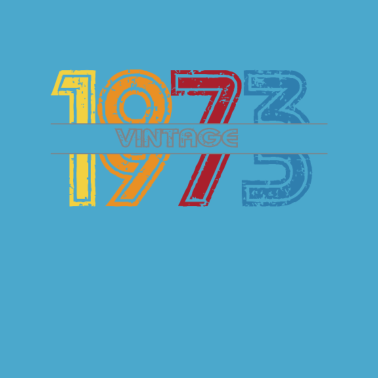 Motiv Vintage 1973 Männer Frauen Geburtstag