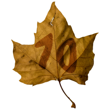 Motiv 70 Jahre Geburtstag