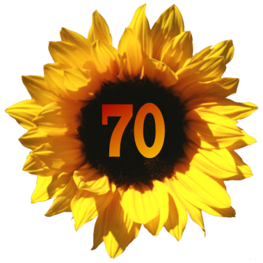 Motiv Sonnenblume zum 70. Geburtstag