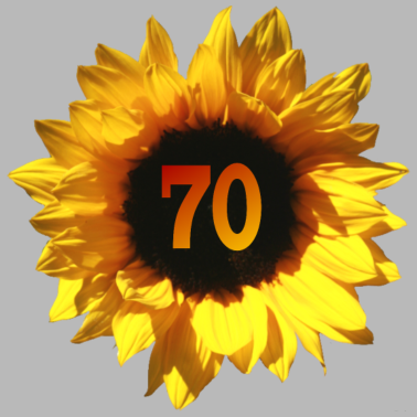 Motiv Sonnenblume zum 70. Geburtstag