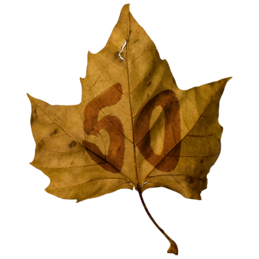 Motiv 50. Geburtstag