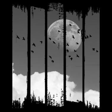 Motiv Vögel Vogel Mond Wolken Natur Himmel Planet Tiere