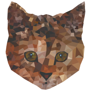 Motiv Katze Low Poly Geburtstagsgeschenk Main Coon