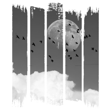 Motiv Vögel Vogel Mond Wolken Natur Himmel Planet Tiere