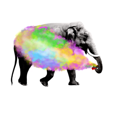 Motiv Elefant, Tier, Safari, Afrika