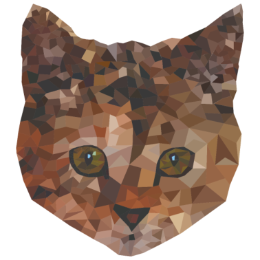 Motiv Katze Low Poly Geburtstagsgeschenk Main Coon