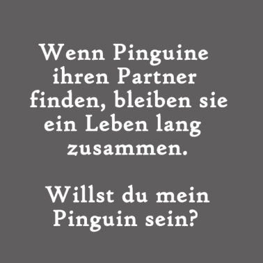 Motiv Wenn Pinguine ihren Partner