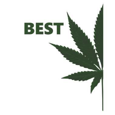 Motiv Best Buds - Cannabis Marihuana Kiffer Partnershirt