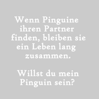 Motiv Wenn Pinguine ihren Partner