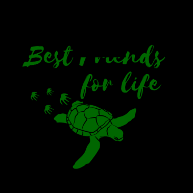 Motiv Schildkröte Tier Partner