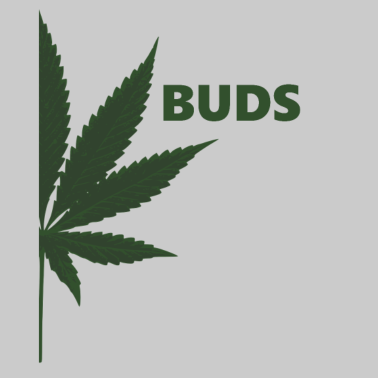 Motiv Best Buds - Cannabis Marihuana Kiffer Partnershirt