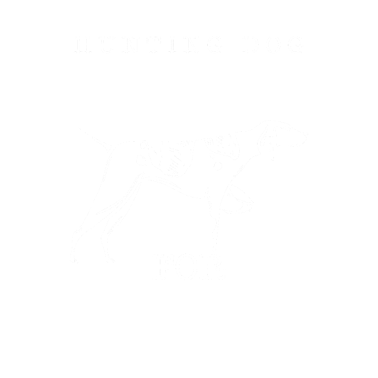 Motiv Jagdhund Partner