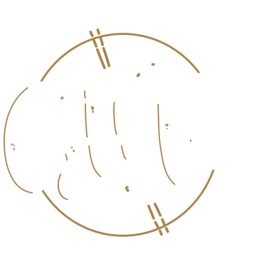 Motiv PAAR - GIN / Gin & Tonic Duo