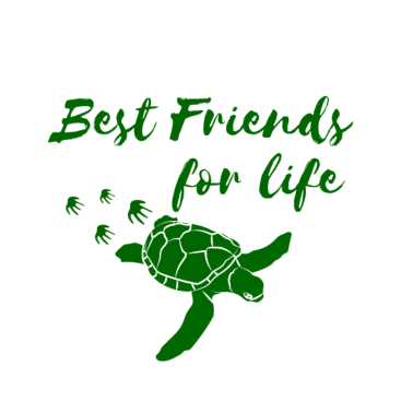 Motiv Schildkröte Tier Partner