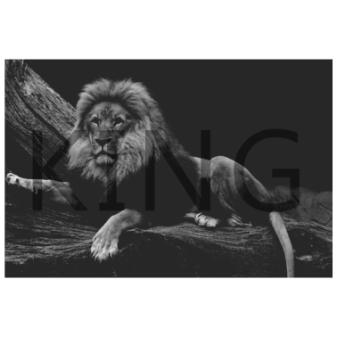 Motiv König & Königin Partner Löwe