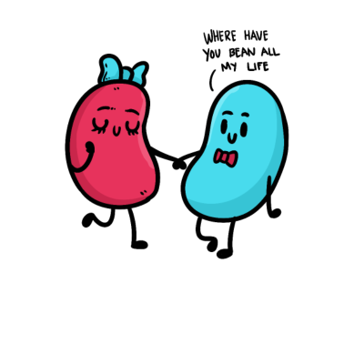 Motiv Bean's Partner