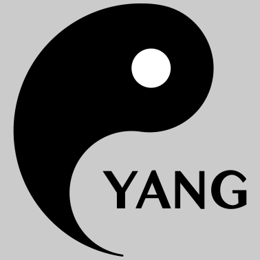 Motiv Yin Yang, Partnerlook, Paare, Valentinstag,