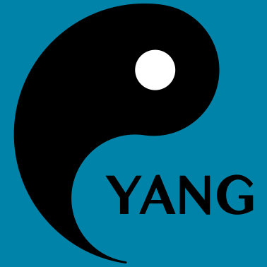 Motiv Yin Yang, Partnerlook, Paare, Valentinstag,