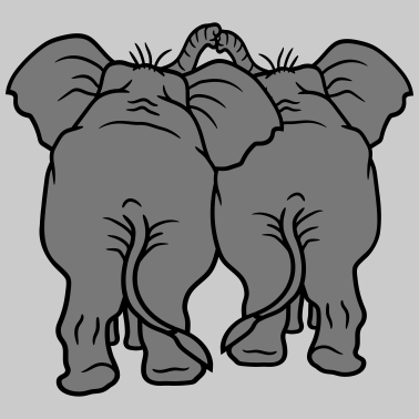 Motiv verliebt liebe paar paerchen 2 elefanten von hinte