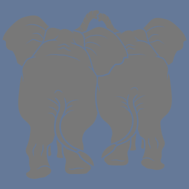 Motiv paar 2 elefanten von hinten verliebt liebe paerche