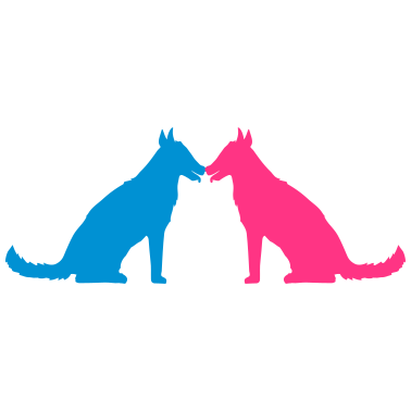 Motiv 2 freunde paar paerchen liebe team sitz sitzender