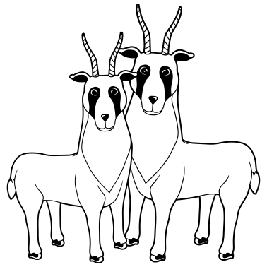 Motiv paerchen 2 Letschwe Antilopen