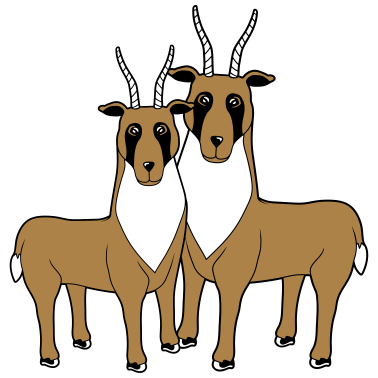 Motiv 2 Letschwe Antilopen paerchen