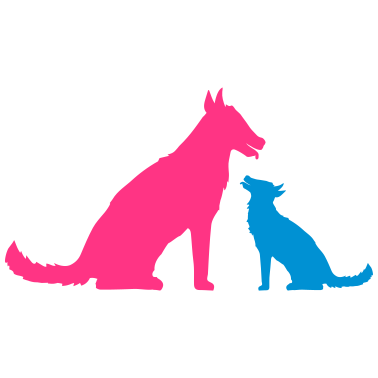 Motiv paar paerchen mama papa familie kind klein junges