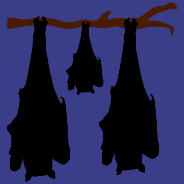 Motiv paar paerchen junges baby kind mama papa familie a