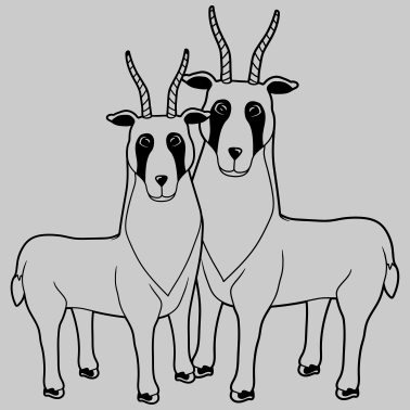 Motiv paerchen 2 Letschwe Antilopen