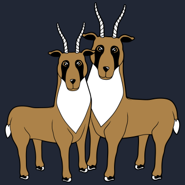 Motiv 2 Letschwe Antilopen paerchen